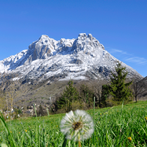 Quié neige