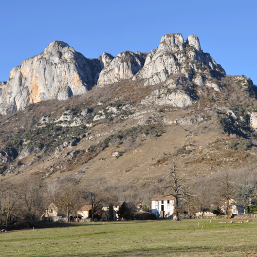 devant la ferme